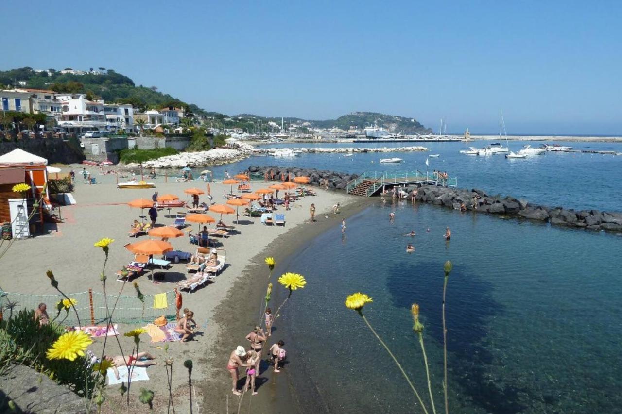 La Terrazza Dell^Ippocampo #Seaview Apartment Ischia Exteriér fotografie