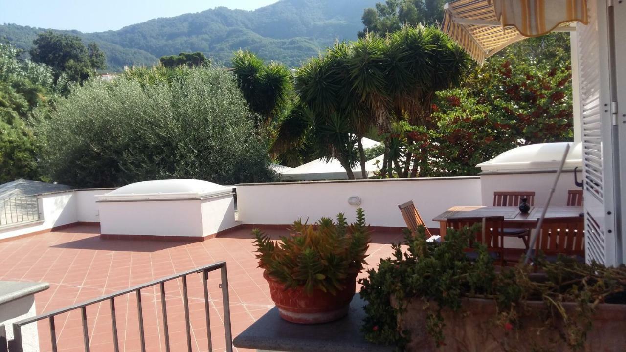 La Terrazza Dell^Ippocampo #Seaview Apartment Ischia Exteriér fotografie
